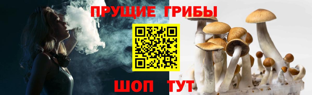 Заводоуковск  Галлюциногенные грибы GOLDEN TEACHER  Вход с VPN 
